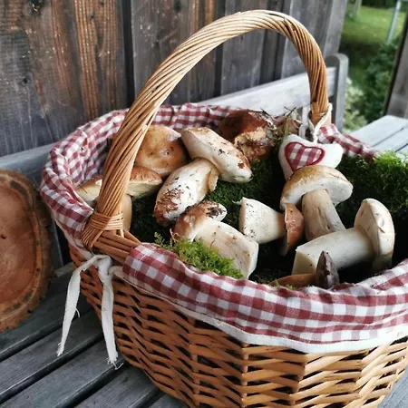 Und Wellness Auf Der Hardt -jacuzzi- Sauna- Kinderausstattung- Alleinlage Im Wald Ferienhaus Mürlenbach