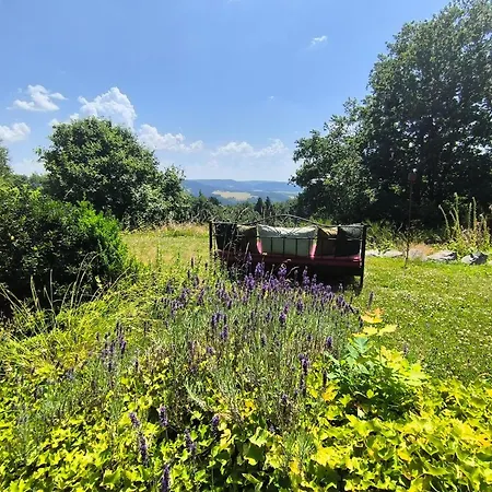 Und Wellness Auf Der Hardt -jacuzzi- Sauna- Kinderausstattung- Alleinlage Im Wald * Mürlenbach